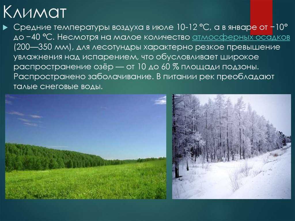 Где в тайге самые низкие температуры зимой. Климат лесотундры в России. Климат тундры и лесотундры в России. Тундра и лесотундра климат. Климатические условия тундры и лесотундры.