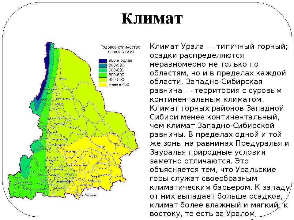 Тест по географии типы климатов россии 8 класс