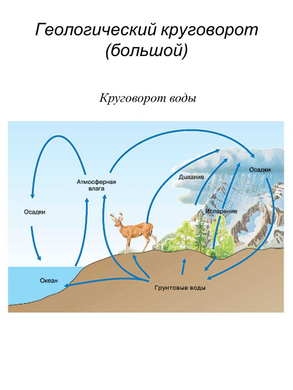 Какие круговороты веществ на земле вы знаете. Большой геологический круговорот веществ. Схема круговорота веществ в природе воды. Схема большого геологического круговорота веществ. Биологический круговорот веществ в биосфере схема.