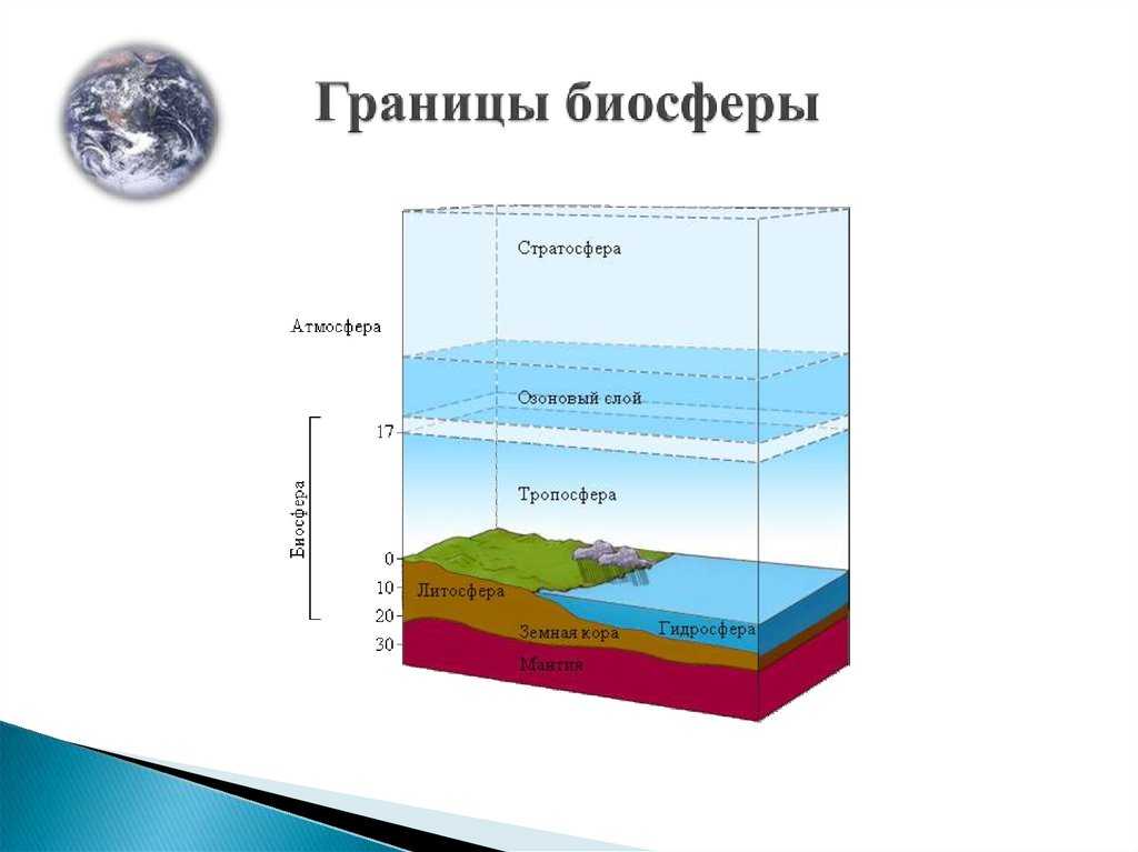 Кто впервые ввел в науку термин биосфера?