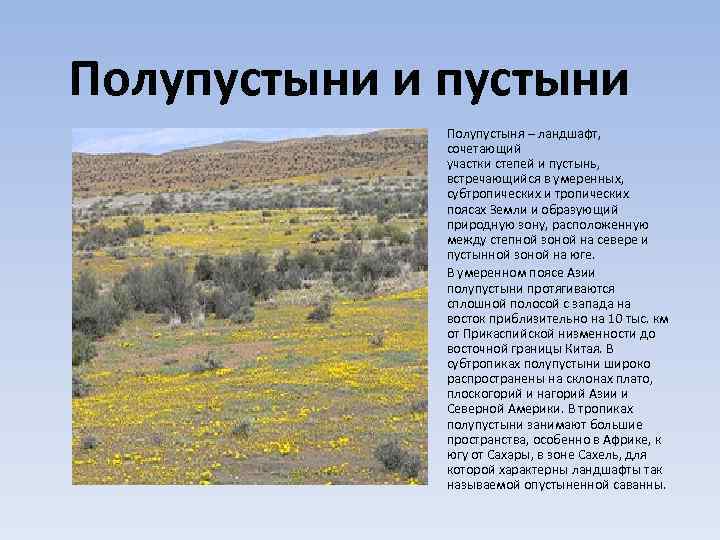 Природные  зоны: какие бывают, их характеристики и особенности