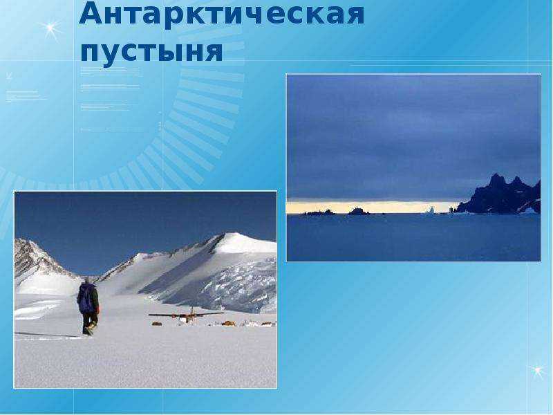 Зона арктических пустынь, ️где расположена, растения, климат, животные