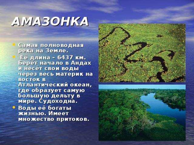 Длина амазонки: ширина, протяженность и описание с фото