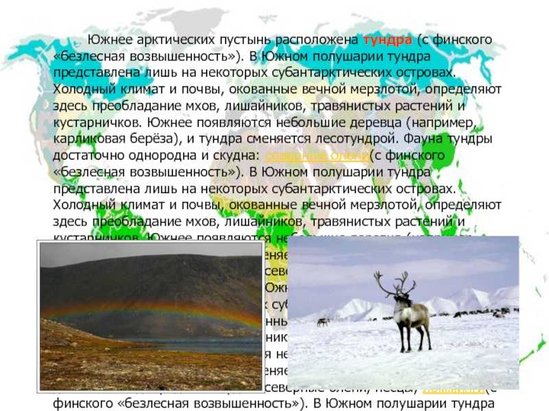 Острова и полуострова россии в зоне арктических пустынь: список и особенности