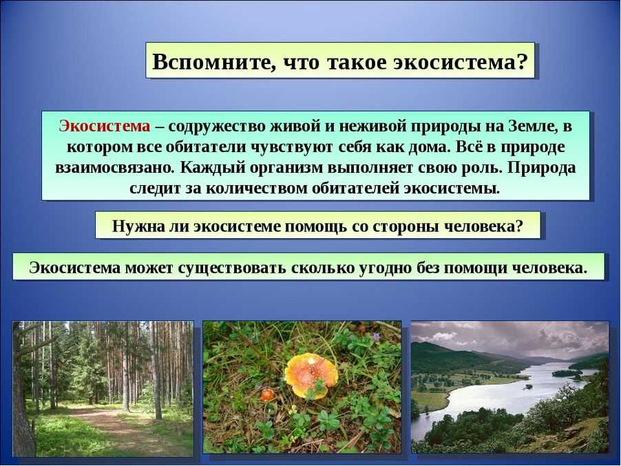 Биоценоз, биотоп, экосистема