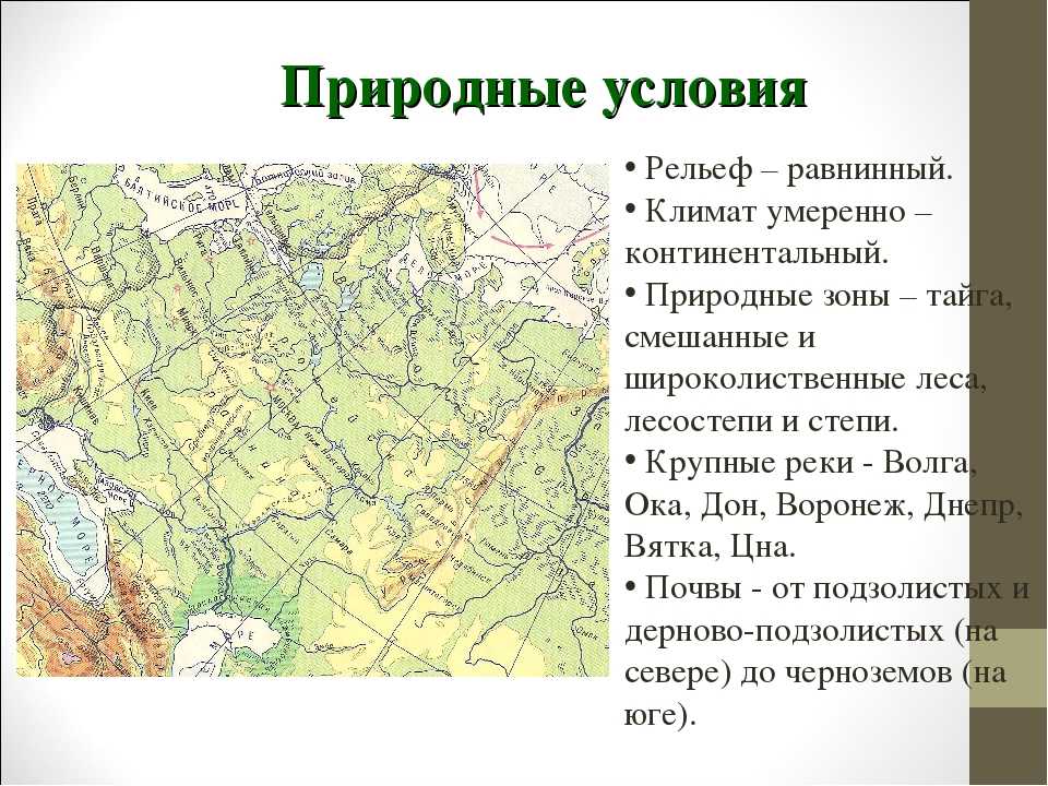 Особенности природных зон дальнего востока