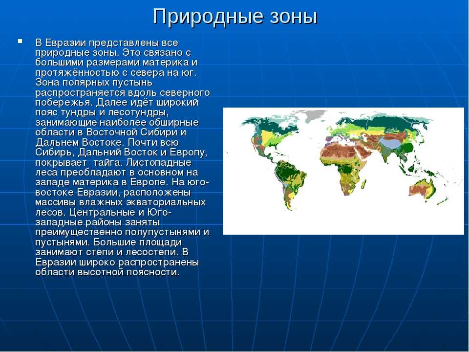 Где находится зона тайги в россии?