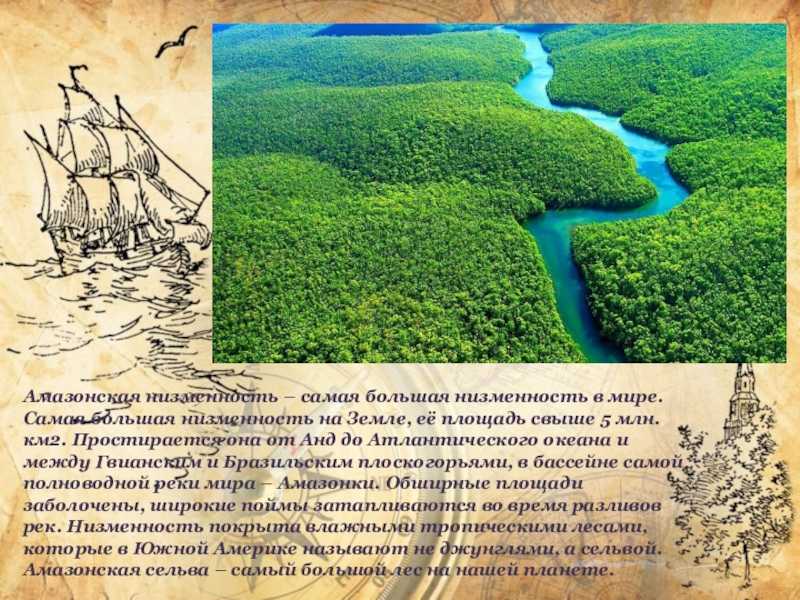 Амазонская низменность — географическое положение, описание и характеристика