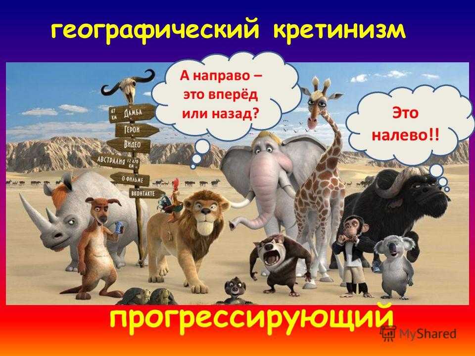 Топографический кретинизм: это лечится?