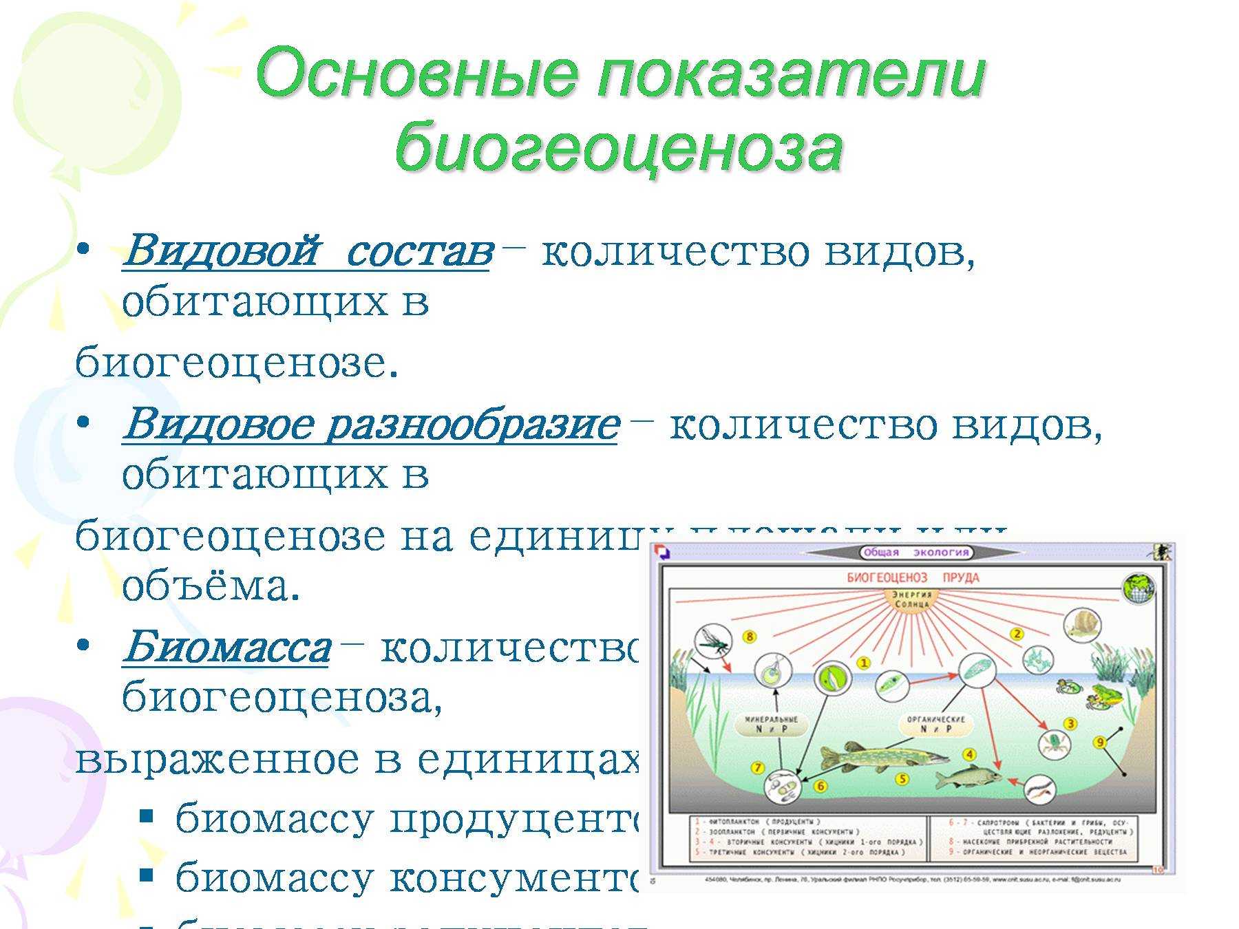 Схема развития биогеоценоза