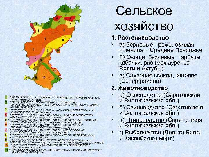 Поволжье: что это такое и где находится? - информация и особенности региона