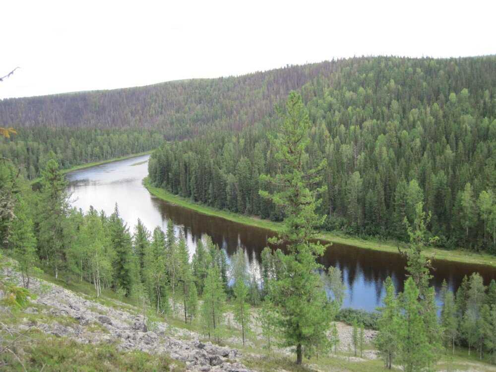 Урок 4: равнины и горы россии - 100urokov.ru