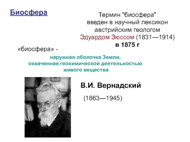 Биосфера — wiki.web.ru