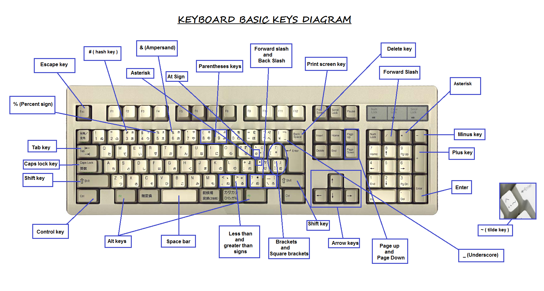 Найти на сайте какие клавиши