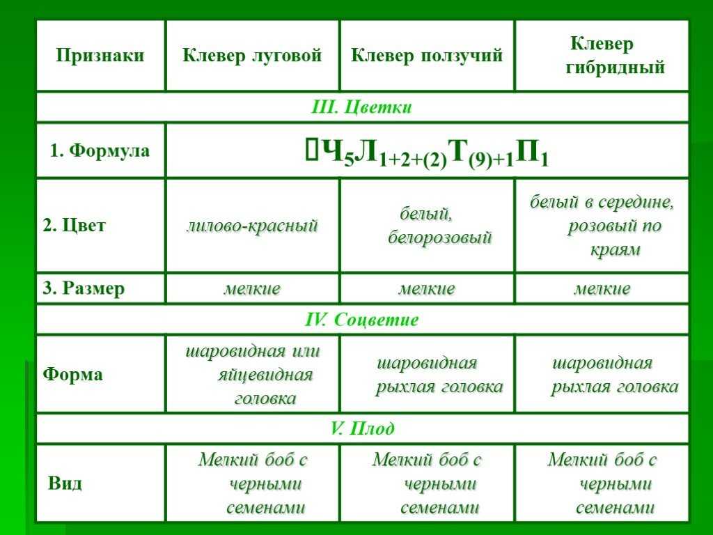 Приложение к лабораторной работе Изучение морфологического критерия вида Результаты исследований занесите в таблицу Семейство: Бобовые Род: Клевер