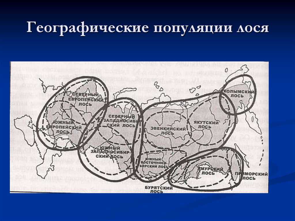 § 49. изоляция — эволюционный фактор