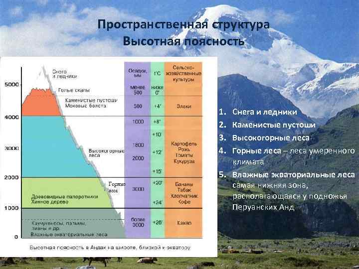 Горы анды в каком направлении. Высотная поясность горы Аконкагуа. Животные ВЫСОТНОЙ поясности климат. Высотная поясность в Андах на карте.