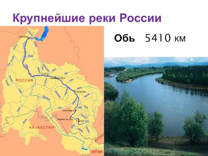 Рельеф реки обь кратко