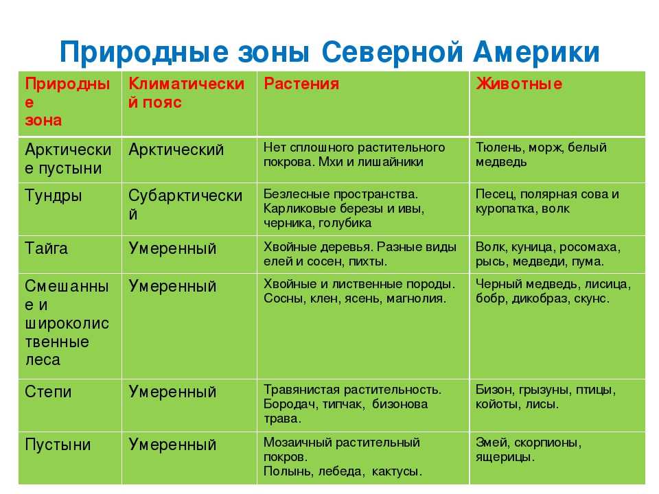 Характеристики тропического климата, местоположение, виды, растительность и фауна / география | thpanorama - сделайте себя лучше уже сегодня!