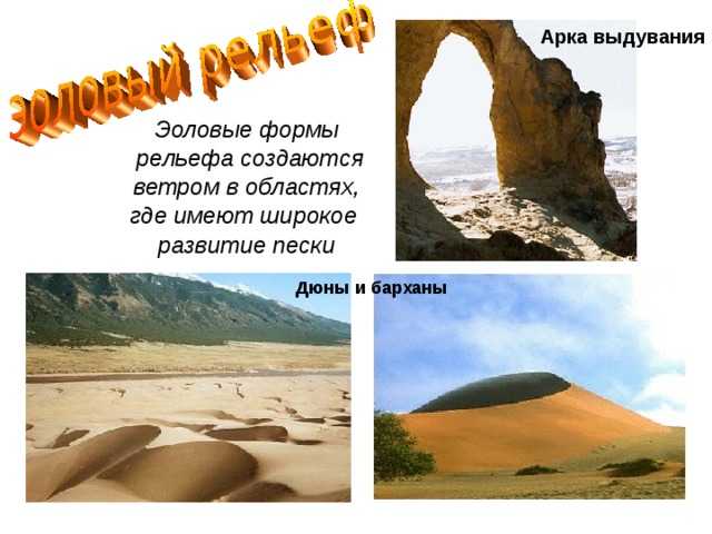 Какие формы рельефа образуются в результате эоловых процессов