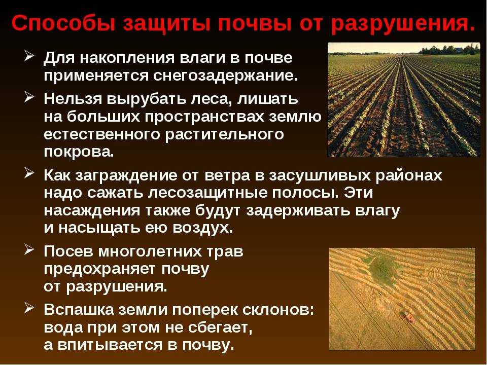 Земледелие