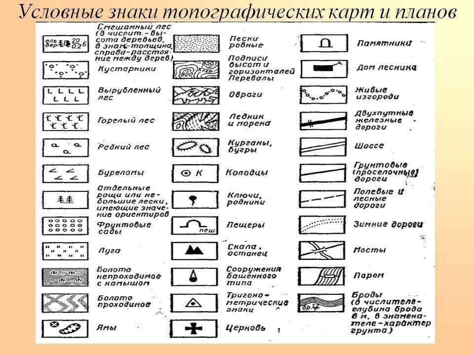 Скачать реферат бесплатно на тему безопасность жизнедеятельности