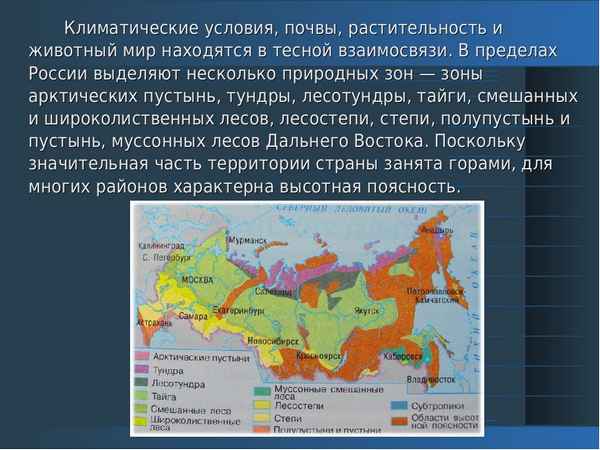 Доклад на тему климат россии 8 класс сообщение