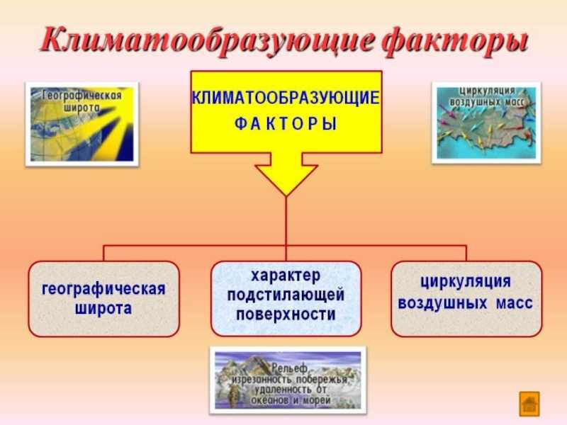 Климат россии кратко, изменения на юге, тайге и центральной части