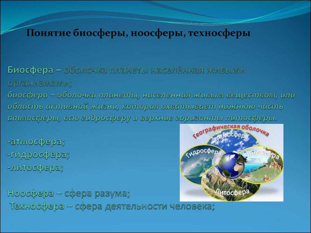 Почему биосфере - чем сложнее система, тем она устойчивей, а в техносфере - все наоборот?