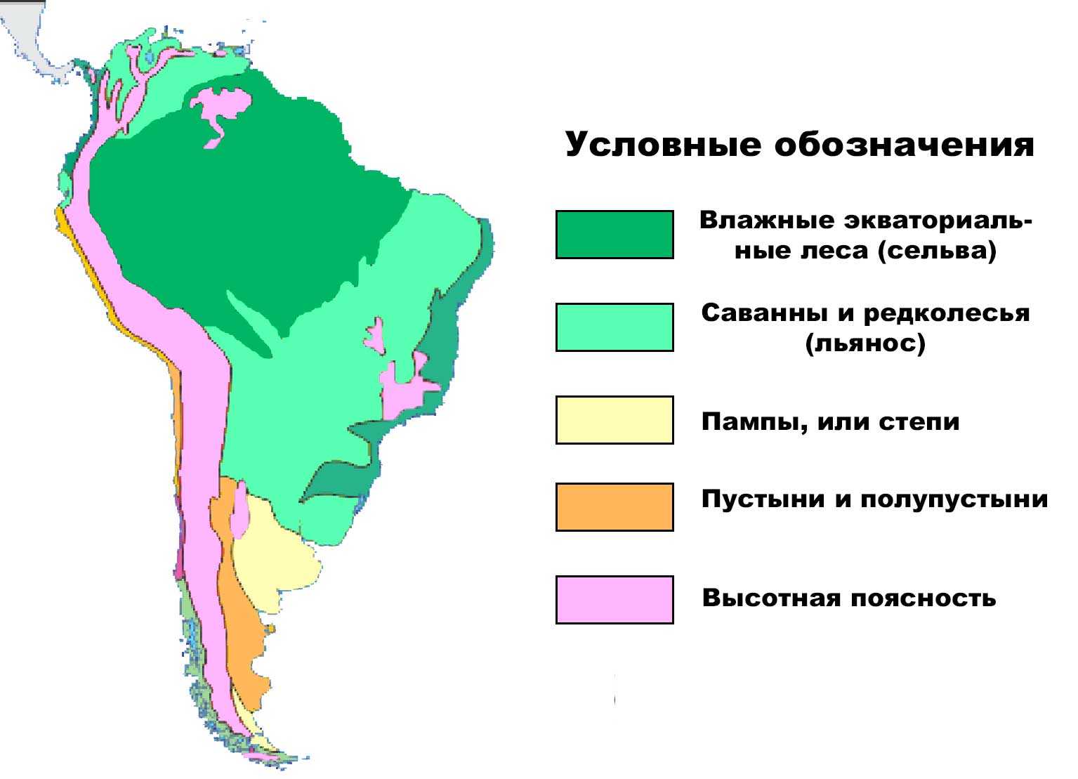Природные зоны южной америки – список с таблицей для урока в 7 классе