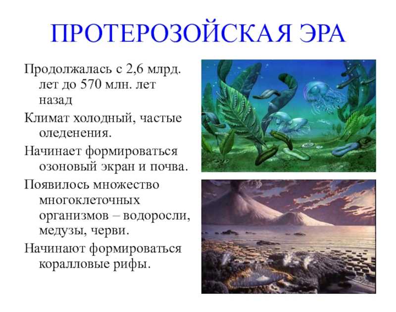 Эры и периоды – палеозой, мезозой, кайнозой в таблице, краткая хронология