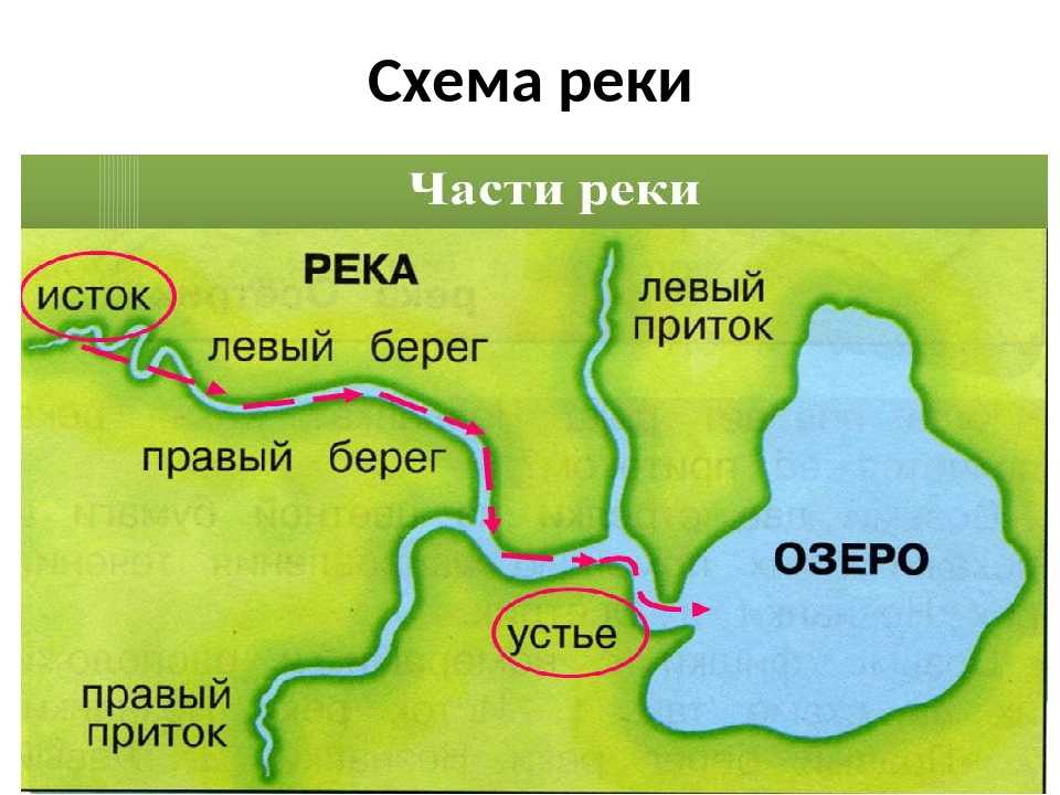 Схема реки и ее части. что такое река? части реки и их определения