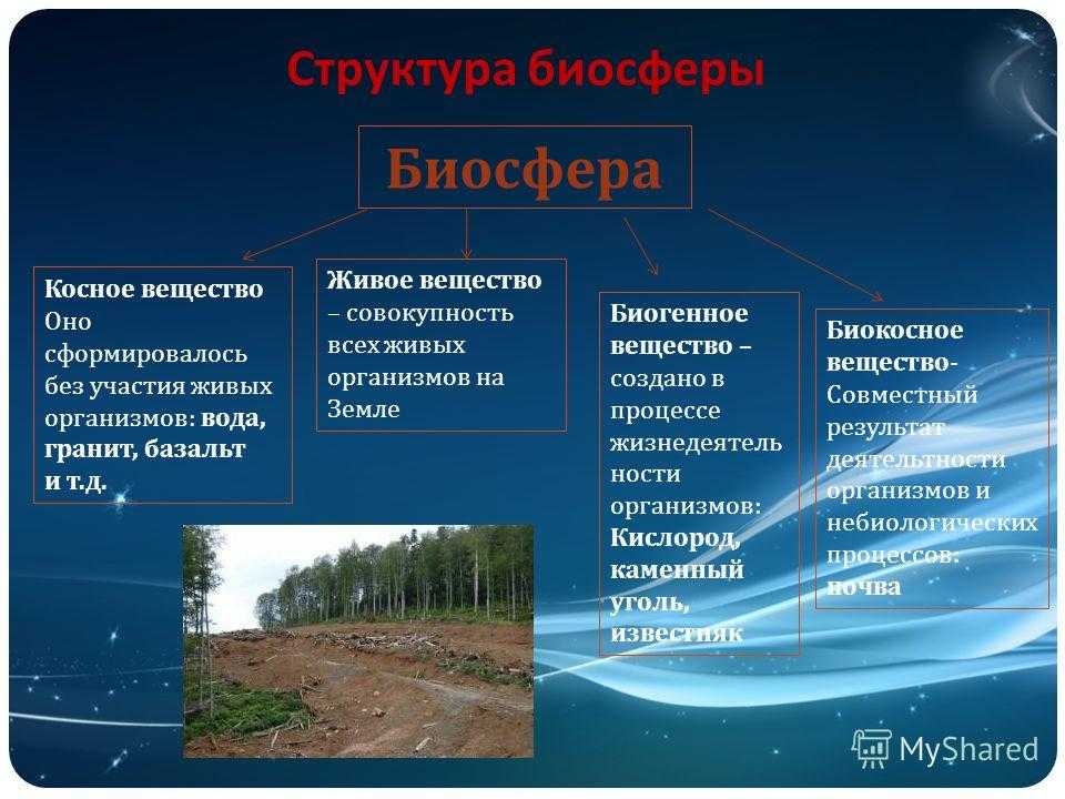 Типы вещества в биосфере по в. и. вернадскому