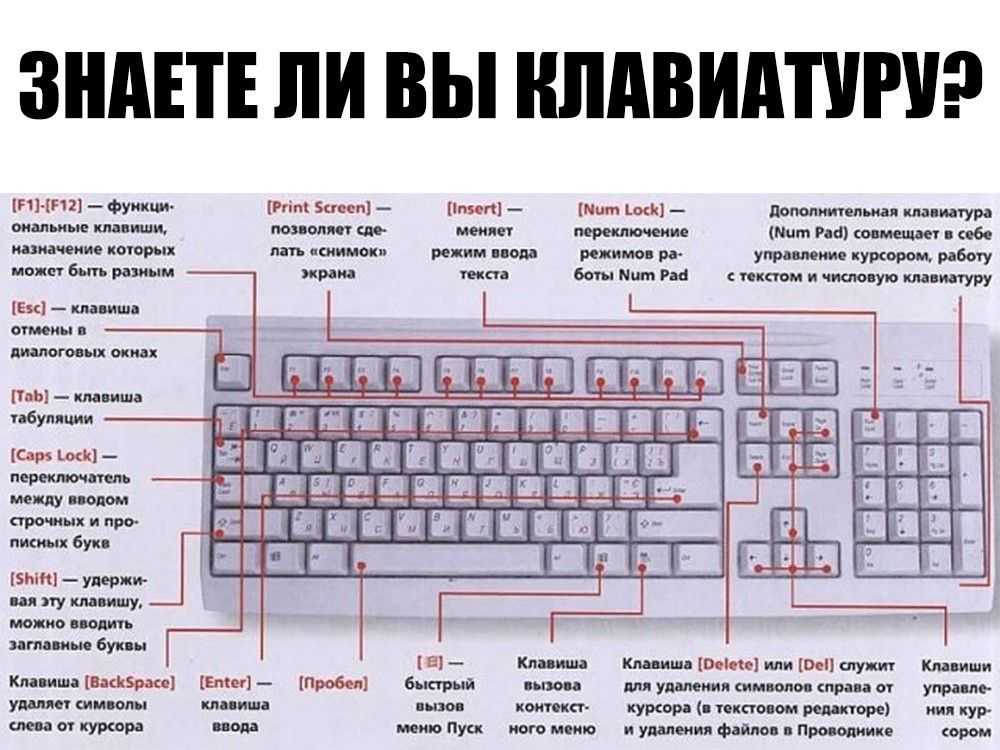 Клавиша Control Ctrl сокращение от Control, произносится kənˈtrοl  — системная кнопка клавиша на компьютерной клавиатуре На современных