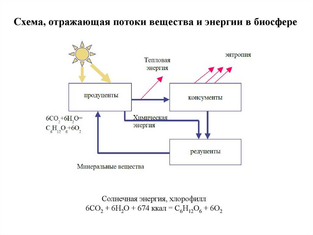 Урок 7: биосфера - 100urokov.ru