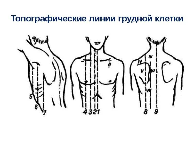 Фгбоу во "кубгу", фгбоу во "кубанский государственный университет", кубанский государственный университет – краснодар – ректор астапов м. б. – инн 2312038420