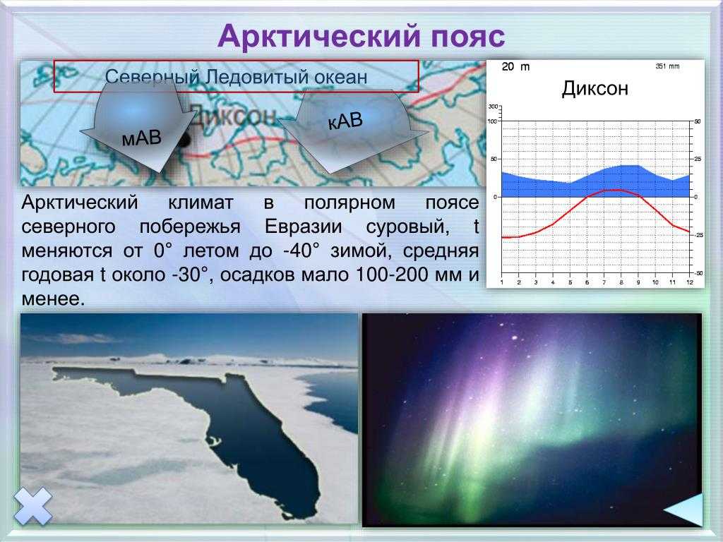 Антарктический пояс Антарктический пояс - самый южный географический пояс Земли, который включает Антарктиду и прилегающие к ней острова и участки