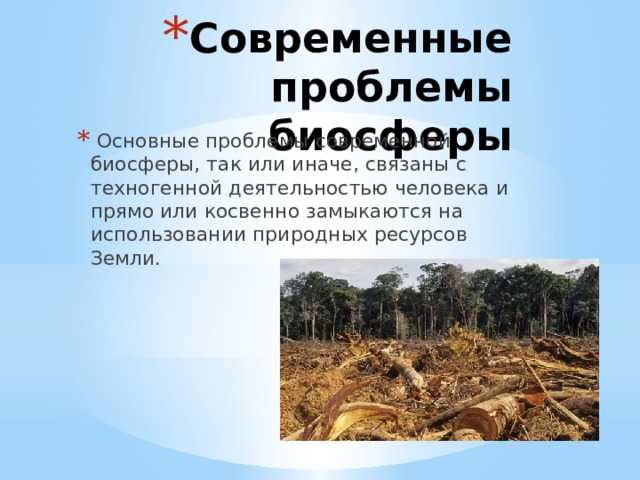 Глобальные экологические проблемы современности и пути их решения