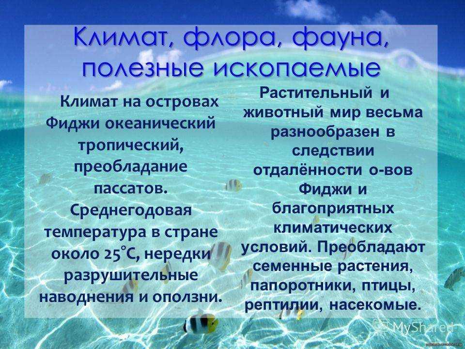 Материк антарктида