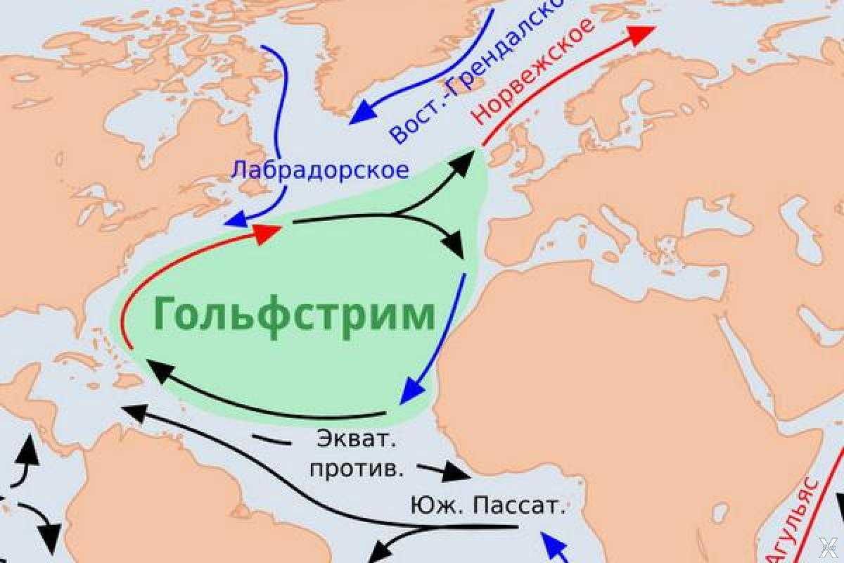 Течения атлантического океана — холодные и теплые, характеристика и карта