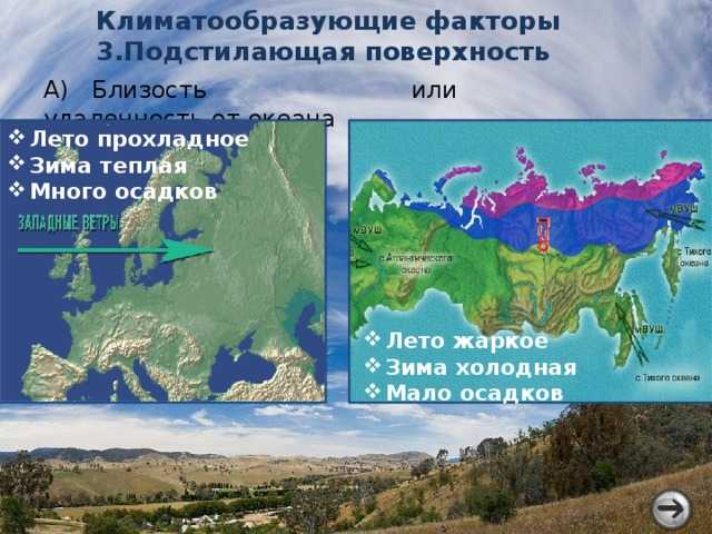 Калифорнийское течение