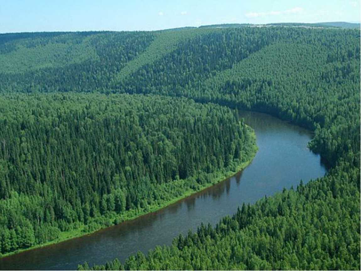 Климат тайги