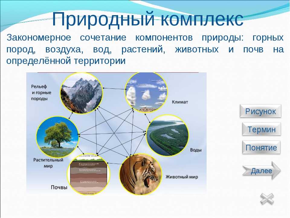 Географическая оболочка земли: определение, состав, строение и границы для урока 7 класс