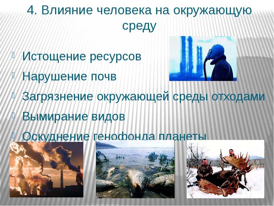 Классификация и виды антропогенных загрязнений и основные последствия влияния деятельности человека на окружающую среду