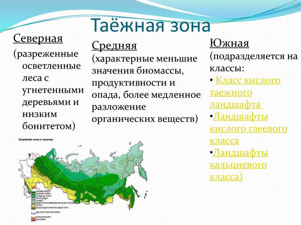 Природные  зоны: какие бывают, их характеристики и особенности
