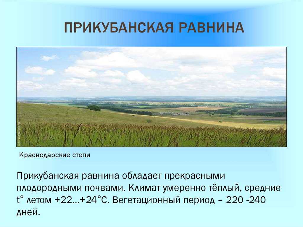 Особенности прикубанской равнины. Низменности Краснодарского края. Равнины Краснодарского края. Прикубанская низменность. Прикубанская равнина.