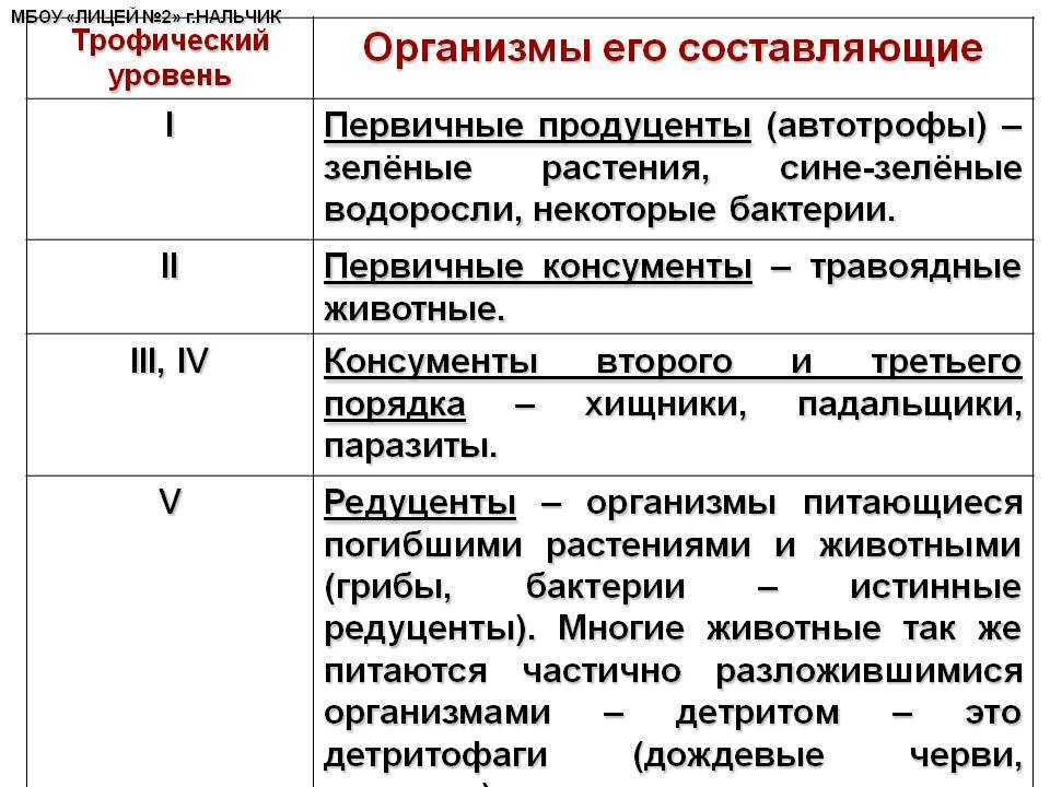 Трофические уровни