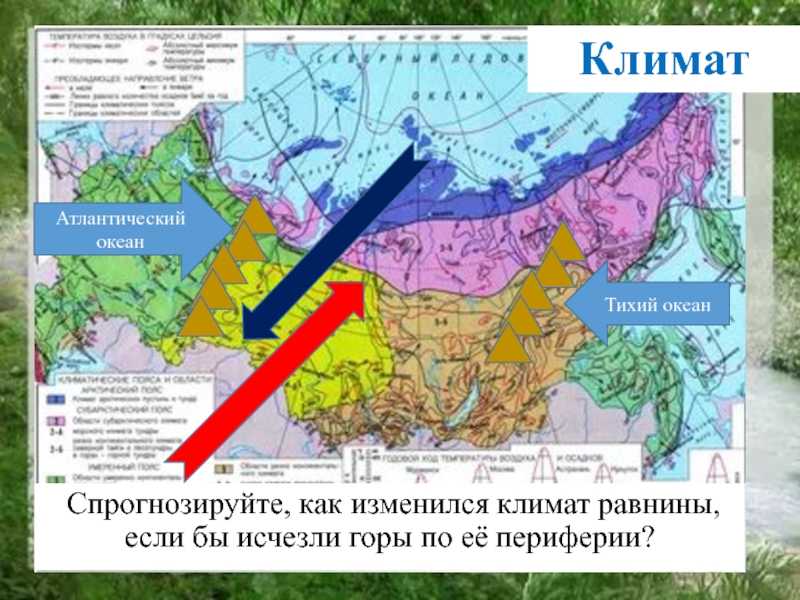 Урок 18: западно-сибирский район - 100urokov.ru