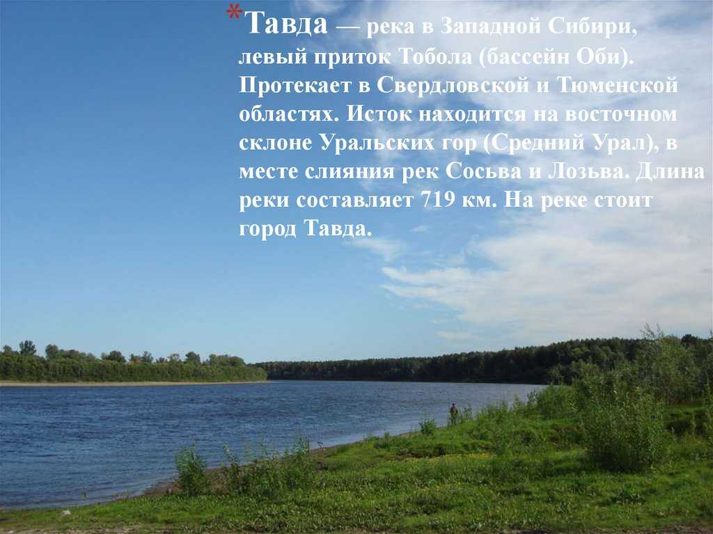 Приток реки тобол. Река Тавда Свердловская область. Исток реки Тавда Свердловской области. Река Тавда Тюменская область. Исток реки Тавда.