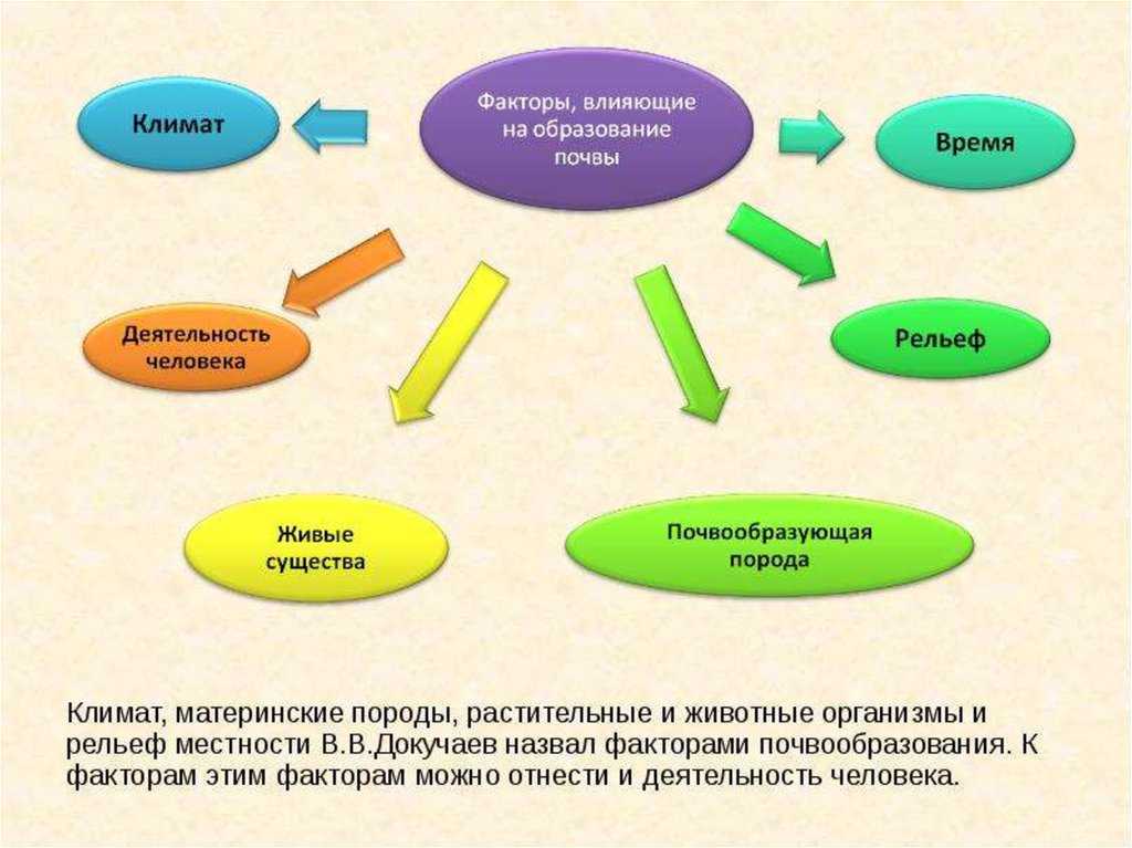 4.2.2. почва и рельеф. погодные и климатические особенности наземно-воздушной среды. общая экология